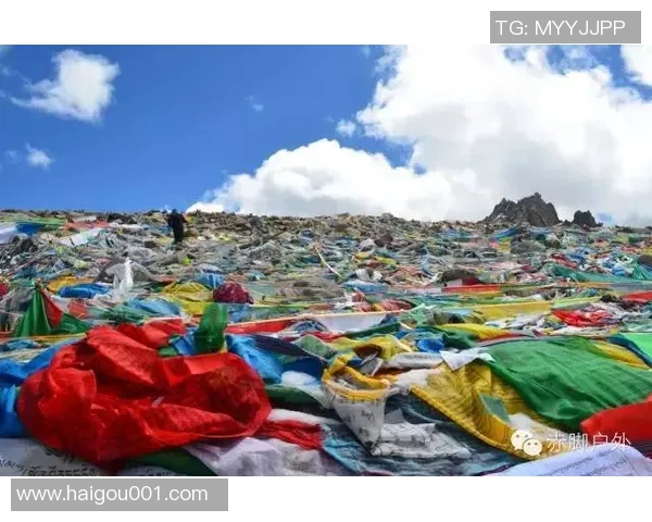 北京极限运动队比赛经验分析及其对未来表现的影响探讨