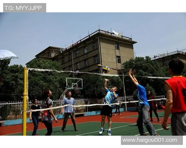 专访杨敏：探寻排球背后的成功秘诀与奋斗历程